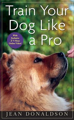 Train Your Dog Like a Pro