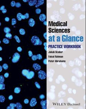 Medical Sciences at Glance – Practice Workbook