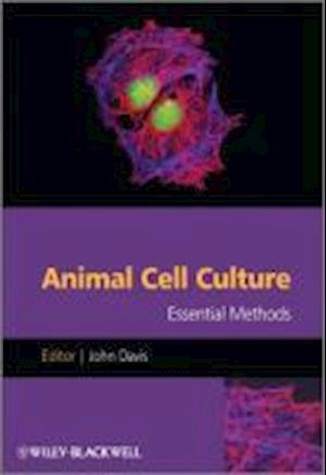 Animal Cell Culture – Essential Methods