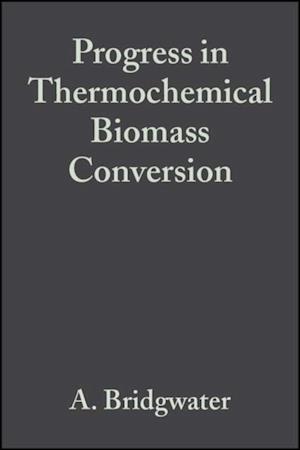 Progress in Thermochemical Biomass Conversion