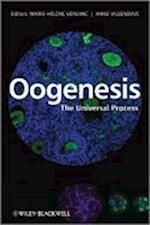 Oogenesis – The Universal Process