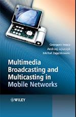 Multimedia Broadcasting and Multicasting in Mobile  Networks