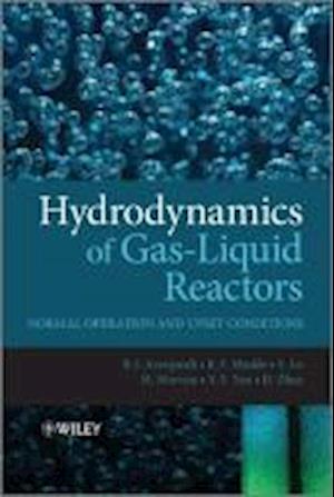 Hydrodynamics of Gas-Liquid Reactors