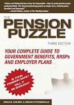 The Pension Puzzle