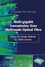 Multi-Gigabit Transmission over Multimode Optical Fibre