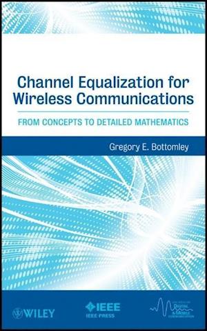 Channel Equalization for Wireless Communications