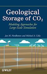 Geological Storage of CO2 – Modeling Approaches for Large–Scale Simulation