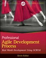 Professional Agile Development Process