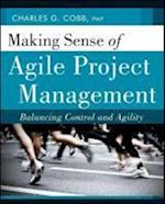 Making Sense of Agile Project Management – Balancing Control and Agility