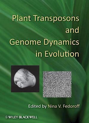 Plant Transposons and Genome Dynamics in Evolution