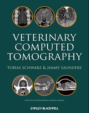 Veterinary Computed Tomography