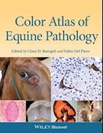 Color Atlas of Equine Pathology