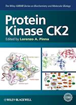 Protein Kinase CK2 (The Wiley–IUBMB Series on Biochemistry and Molecular Biology)