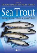 Sea Trout