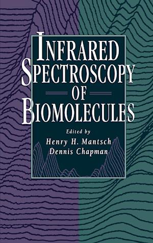 Infrared Spectroscopy of Biomolecules