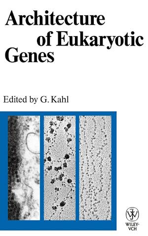 Architecture of Eukaryotic Genes