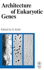 Architecture of Eukaryotic Genes