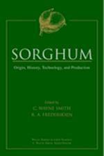 Sorghum – Origin, History, Technology & Production