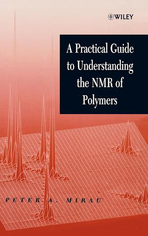 A Practical Guide to Understanding the NMR of Polymers