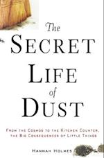 The Secret Life of Dust: From the Cosmos to the Kitchen Counter, the Big Consequences of Little Things 