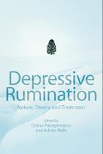 Depressive Rumination – Nature, Theory and Treatment