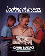 Looking at Insects