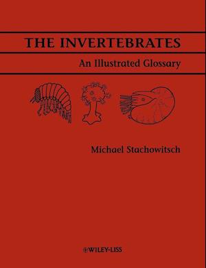 The Invertebrates