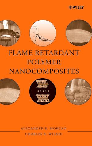 Flame Retardant Polymer Nanocomposites