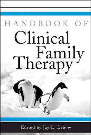 Handbook of Clinical Family Therapy