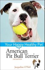 American Pit Bull Terrier