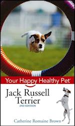 Jack Russell Terrier