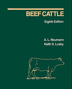 Beef Cattle