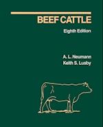 Beef Cattle