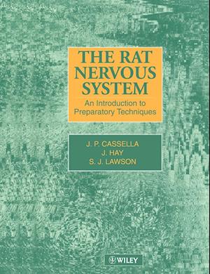 The Rat Nervous System