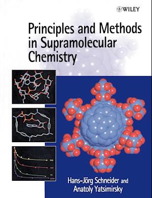Principles & Methods in Supramolecular Chemistry
