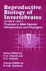 Reproductive Biology of Invertebrates, Progress in Male Gamete Ultrastructure and Phylogeny