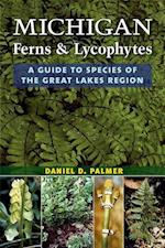 Michigan Ferns and Lycophytes