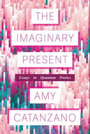 The Imaginary Present