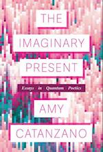 The Imaginary Present