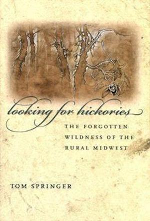 Springer, T:  Looking for Hickories