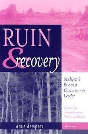 Ruin and Recovery