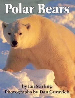 Stirling, I:  Polar Bears