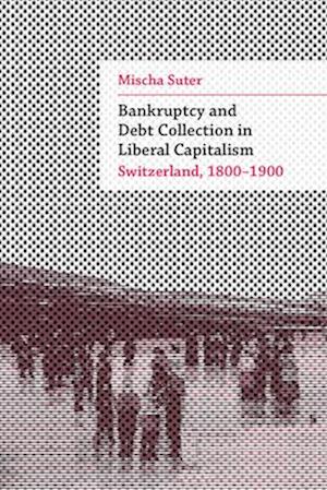 Bankruptcy and Debt Collection in Liberal Capitalism