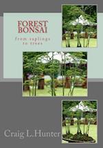 Forest Bonsai