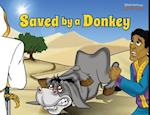 Saved by a Donkey: The story of Balaam's Donkey 