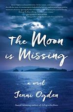 The Moon is Missing: a novel 