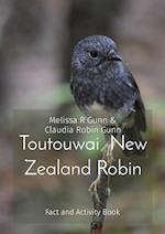 Toutouwai  New Zealand Robin