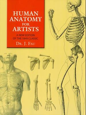 Human Anatomy for Artists