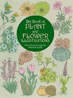 Big Book of Plant and Flower Illustrations