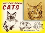 You Can Draw Cats
